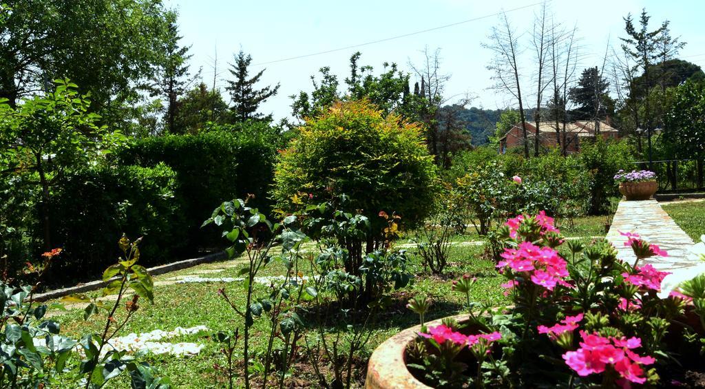 Rose Garden