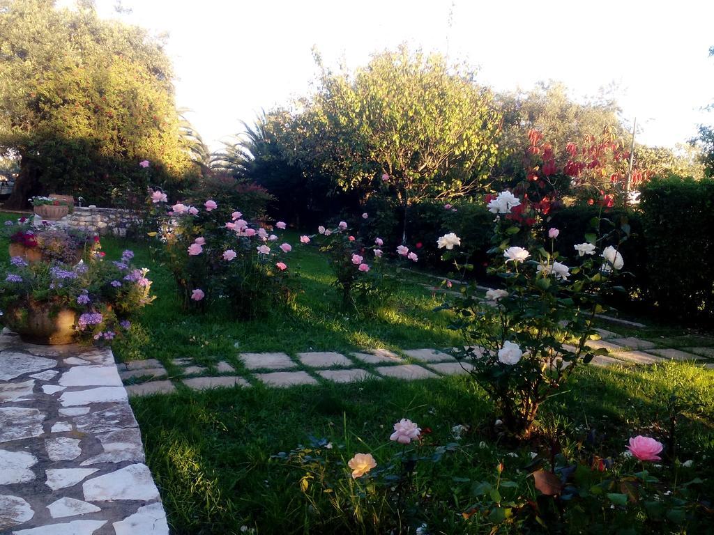 Rose Garden *