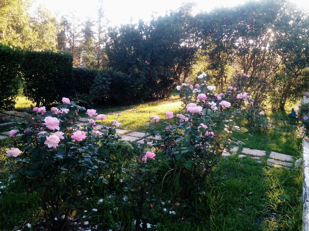 Rose Garden Ágios Ioánnis